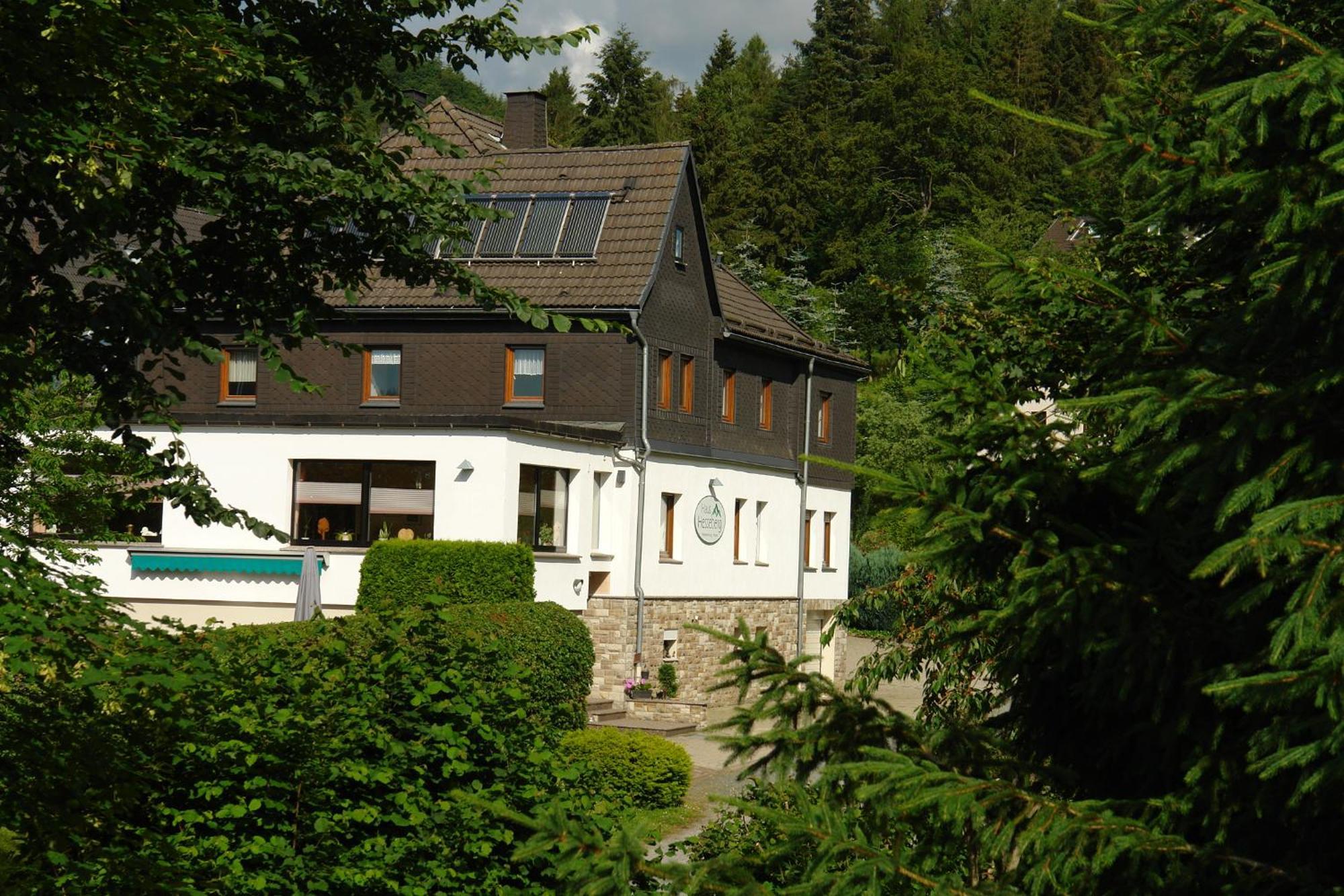 Hotel Haus Hesseberg Medebach Esterno foto